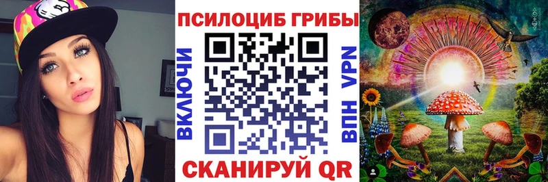 Галлюциногенные грибы Cubensis Купить где Дальнегорск